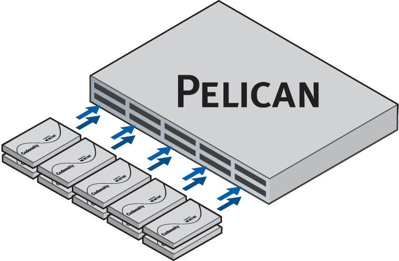 Pelican Scalable Encoder